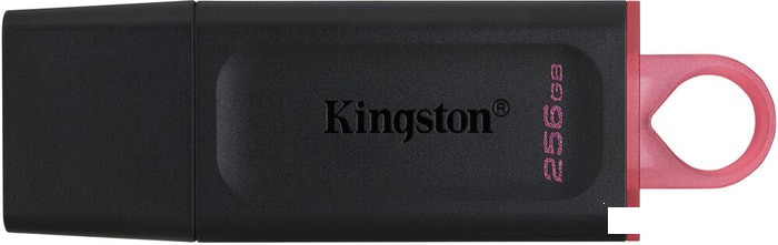 USB Flash Kingston Exodia 256GB - фото 1 - id-p141897530