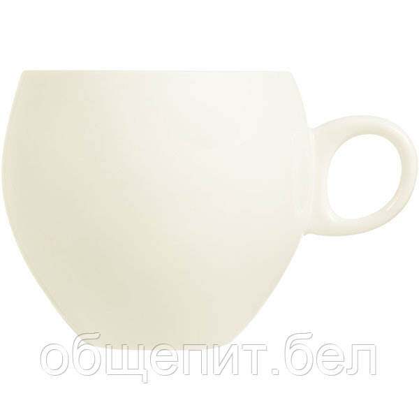 Чашка «Нектар»; фарфор; 350 мл - фото 1 - id-p141974554