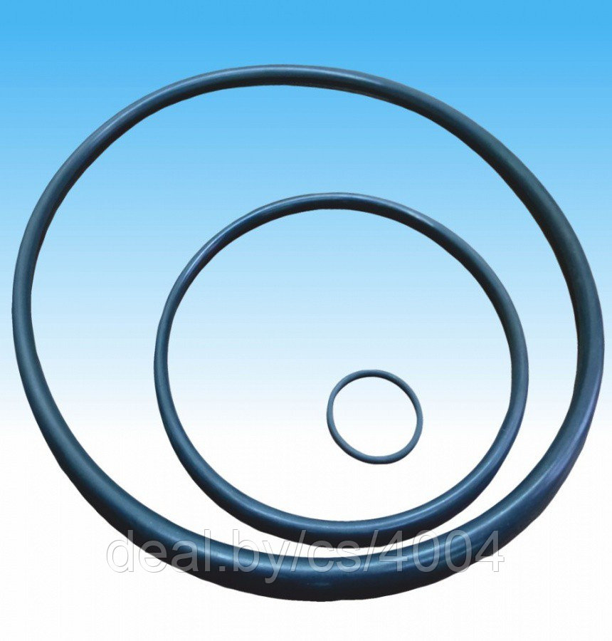Кольца резиновые уплотнительные круглого сечения для гидравлических и пневматических устройств ТУ BY