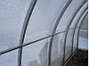 Теплица Сибирская труба 40х20  шаг 0.5 метра 6х3х2, фото 2