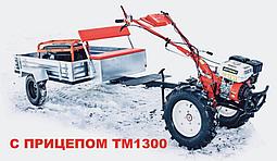 Культиватор Shtenli 1030L (8.5-L) (Колёса 6Lх12, без диф-в, фары и бардачка), фото 2