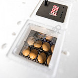 Инкубатор Несушка на 104 яйца (автомат, цифровое табло, 220+12В)+ Гигрометр, арт. 64Г, фото 3