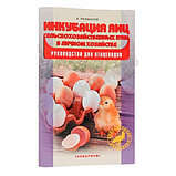 Инкубатор Несушка на 104 яйца (автомат, цифровое табло, 220+12В)+ Гигрометр, арт. 64Г, фото 5