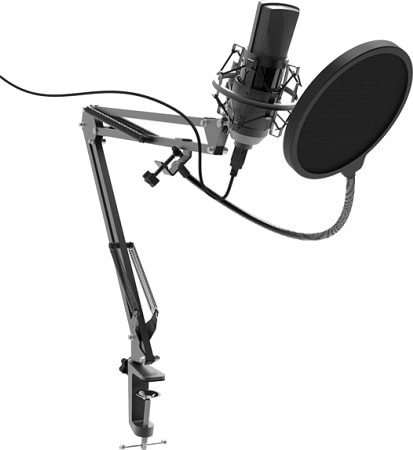 Микрофон Ritmix RDM-180 - фото 1 - id-p142212338