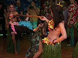 Гавайская вечеринка, фото 3