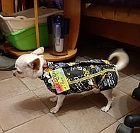 Жилет для собак на подкладке Софт - Зима с рисунком "Скорость, желтая"