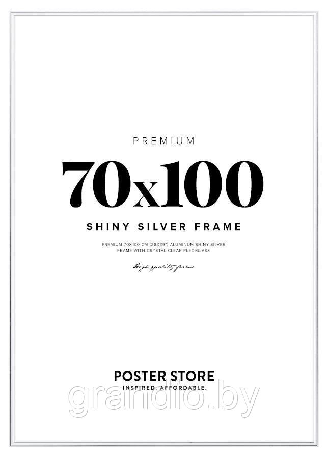 Рамка 70х100 для фото и постеров алюминиевая цвет серебро багет 9мм - фото 8 - id-p99217181