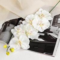 Цветок искусственный "Орхидея" 9*60 см, белая с жёлтым
