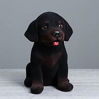 Копилка "Собака Ротвейлер", флок, чёрный цвет, 27 см