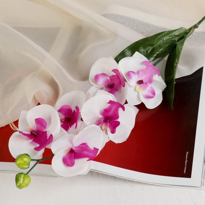 Цветы искусственные орхидея пышность 60 см белый - фото 1 - id-p142289781