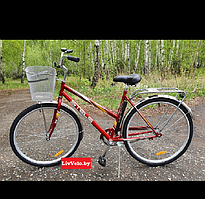 Велосипед Stels Navigator 300 Lady 28" Z010 (Красный)
