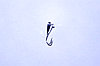Мормышка "Hayabusa" вольфрамовая, фото 2