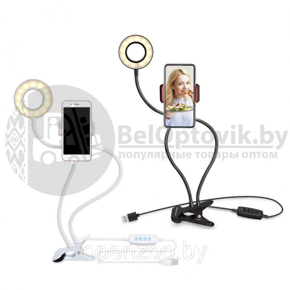 Кольцевая лампа (для селфи, мобильной фото/видео съемки), штатив Professional Live Stream, 3 режима Белый - фото 5 - id-p142589666