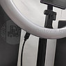 Кольцевая складная лампа на штативе, диаметр 29 см (для селфи, фото/видео съемки) Live Beauty Y2 LED 160,, фото 8