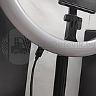 Кольцевая складная лампа на штативе, диаметр 29 см (для селфи, фото/видео съемки) Live Beauty Y2 LED 160,, фото 8
