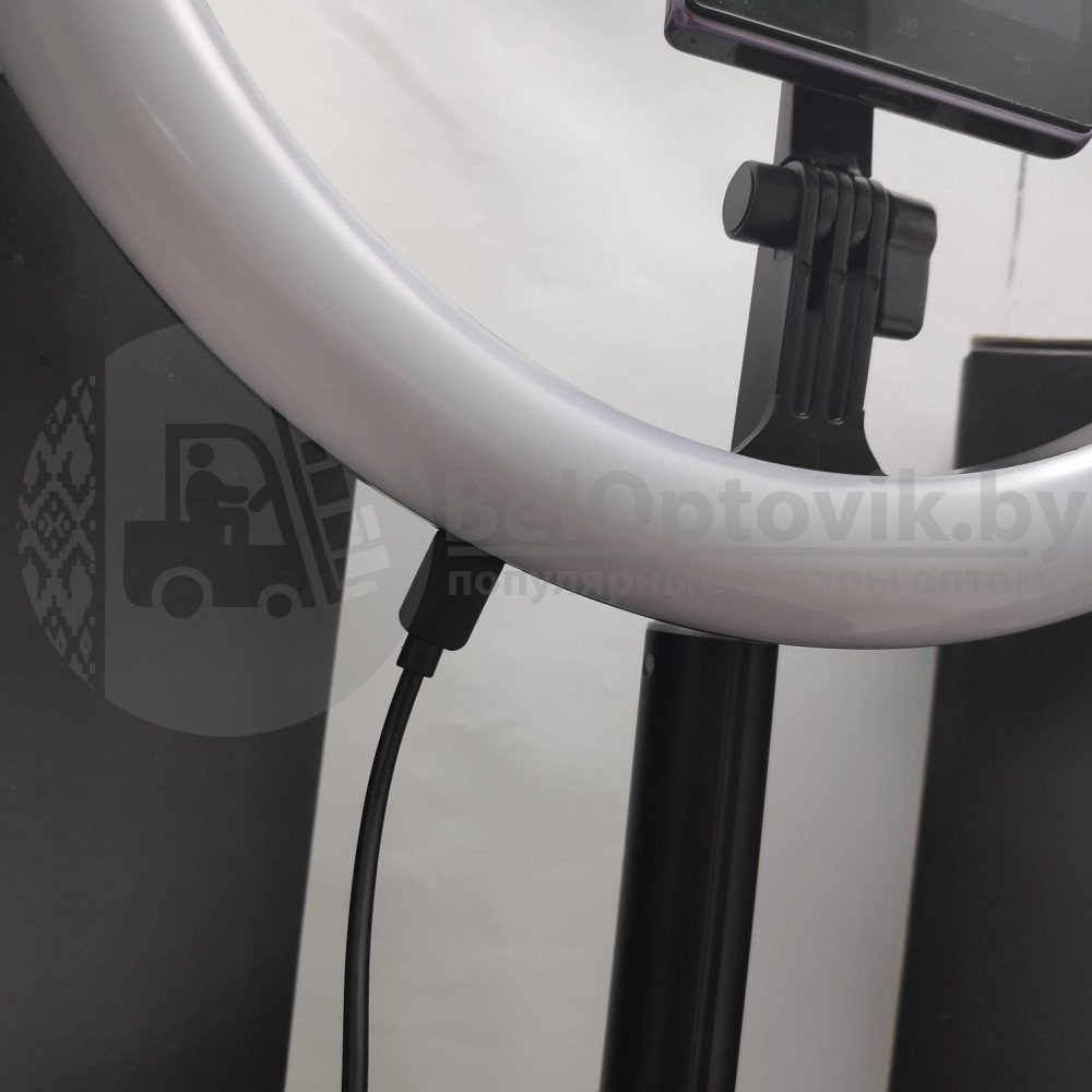 Кольцевая складная лампа на штативе, диаметр 29 см (для селфи, фото/видео съемки) Live Beauty Y2 LED 160, - фото 8 - id-p131072625