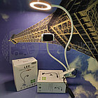 Штатив с лампой (лампа для селфи) для мобильной фото/видео съемки Professional Live Stream, 3 режима Белый, фото 3