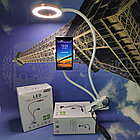 Кольцевая лампа (для селфи, мобильной фото/видео съемки), штатив Professional Live Stream, 3 режима Черный, фото 2