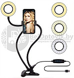 Кольцевая лампа (для селфи, мобильной фото/видео съемки), штатив Professional Live Stream, 3 режима Белый, фото 9