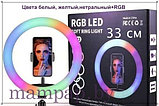 Кольцевая лампа 33 см RGB LED +Штатив 220 см +Пульт +Держатель телефона (Светодиодная лампа для селф, фото 2