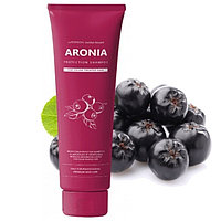 Pedison Шампунь для волос АРОНИЯ Institute-beaut Aronia Color Protection Shampoo, 100 мл