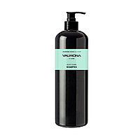 [VALMONA] Шампунь для волос АЮРВЕДА Ayurvedic Scalp Solution Black Cumin Shampoo, 480 мл
