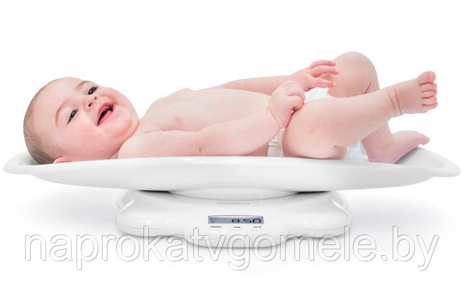 Детские весы Miniland Scaly - фото 1 - id-p142642784