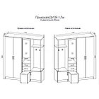 Прихожая Дуся 1,7м Цемент/Дуб бунратти, фото 2