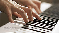 Индивидуальное занятие игры на фортепиано, фото 2