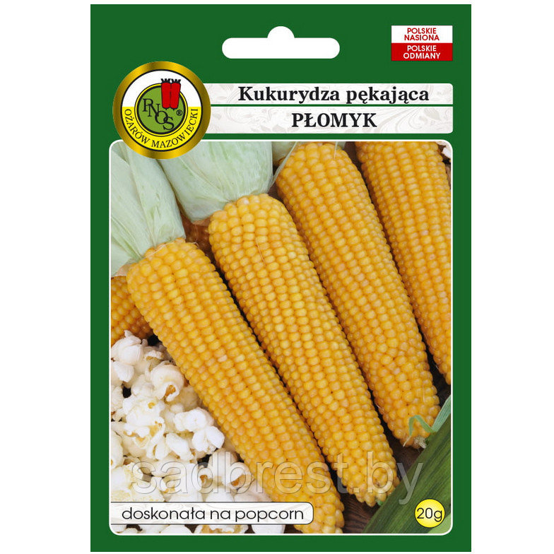 Семена Кукуруза воздушная Пломик Попкорн PNOS (20 гр) Польша
