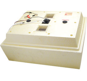 Инкубатор Золушка на 70 яиц (автомат, цифровое табло, гигрометр, 220+12В) - фото 1 - id-p82877038