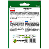 Семена Свекла Опольская (20 гр) PNOS Польша, фото 2