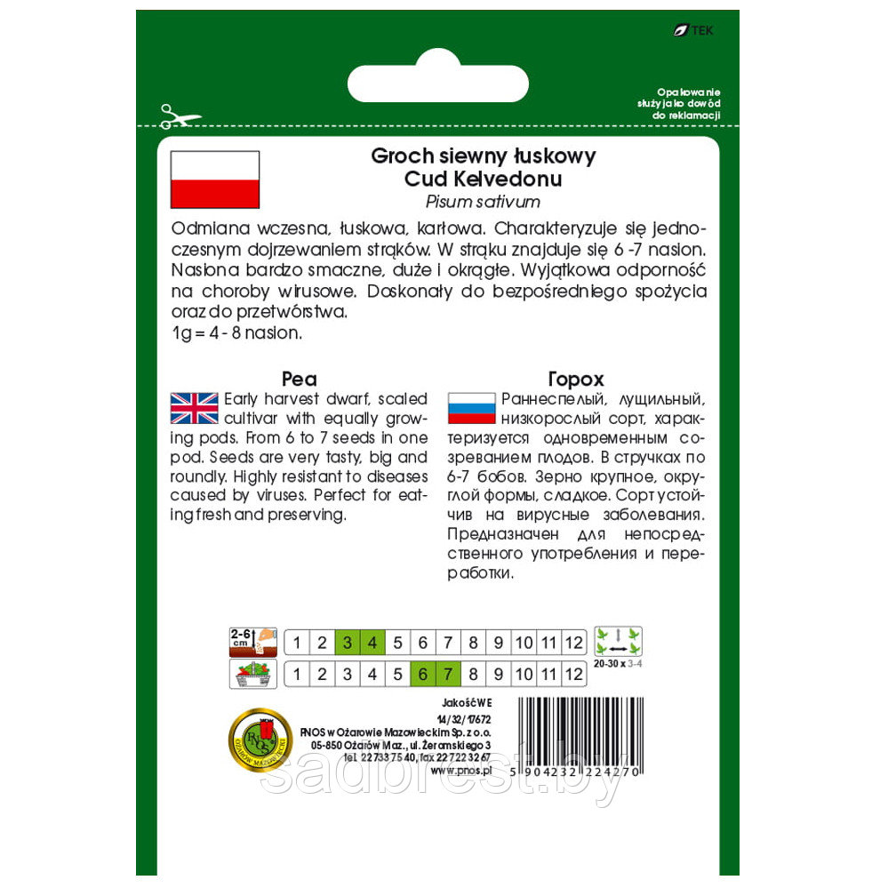 Семена Горох овощной Чудо Кельведона (50 гр) PNOS Польша - фото 2 - id-p143177687