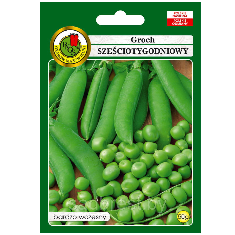 Семена Горох Шестинедельный овощной PNOS (50 гр) Польша - фото 1 - id-p143177799