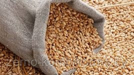 Пшеница фуражная (25 кг)