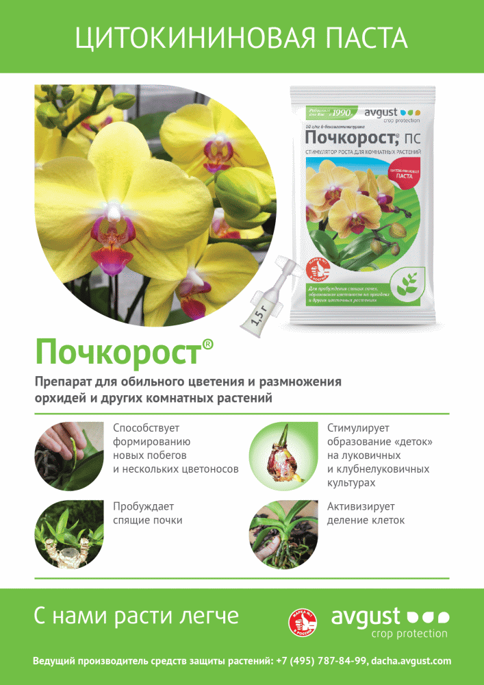 Стимулятор роста для комнатных растений Почкорост 1,5 гр - фото 2 - id-p143270070