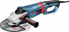 Аренда угловая шлифмашина (болгарка, УШМ) Bosch GWS 24-230 LVI Professional. Есть круги.