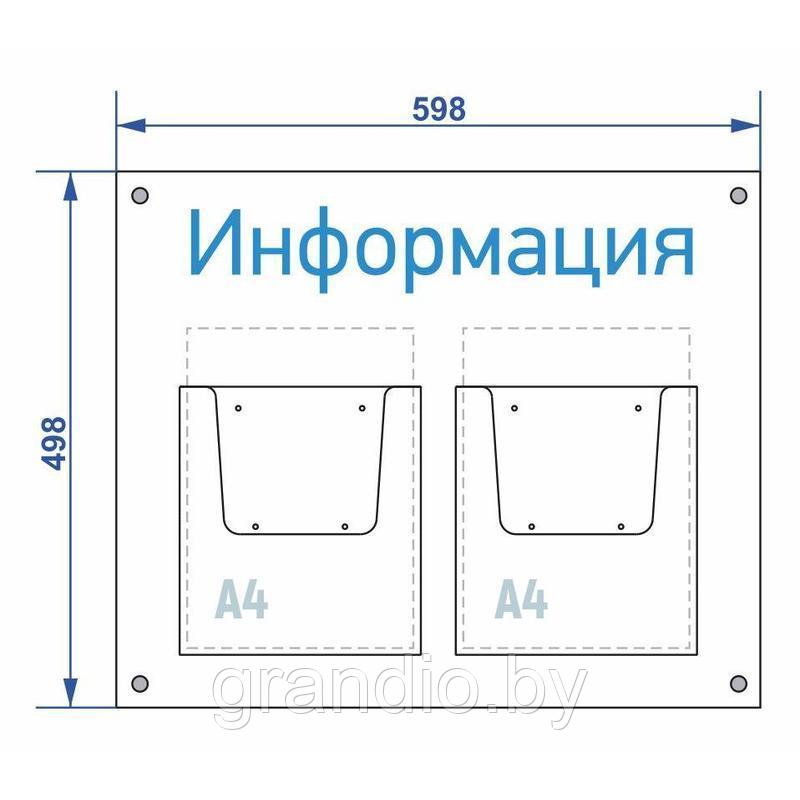 Информационный стенд А4х2 (600х500) объемные карманы - фото 2 - id-p143357139