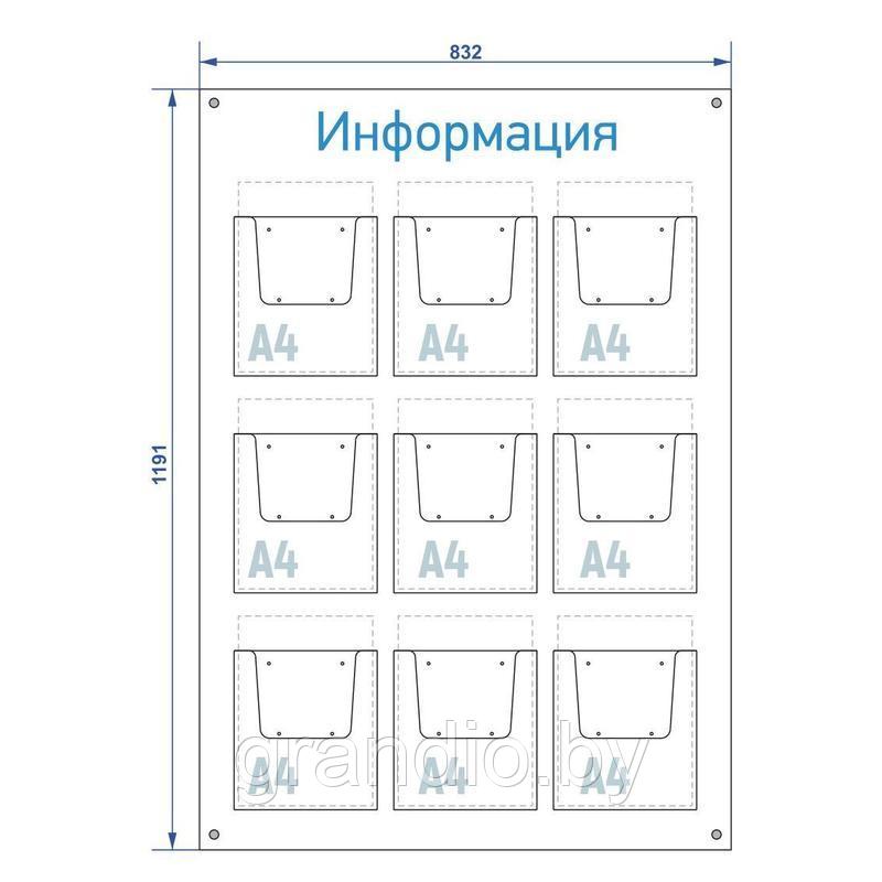 Информационный стенд А4х9 (830х1190) объемные карманы - фото 2 - id-p143398475