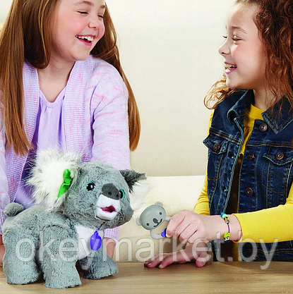 Интерактивная игрушка Коала Кристи Furreal Friends Hasbro E9618, фото 3