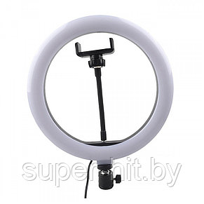 Кольцевая светодиодная лампа LED Ring Fill Light 36 см, фото 2