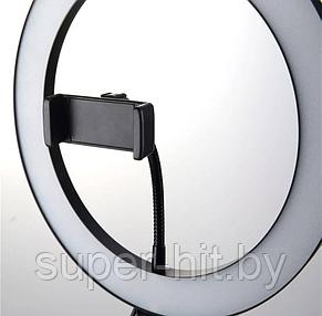 Кольцевая светодиодная лампа LED Ring Fill Light 36 см, фото 2