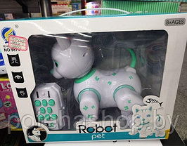 Интерактивная многофункциональная игрушка "Робо-пёс"на радиоуправлении (SS202213/9873)
