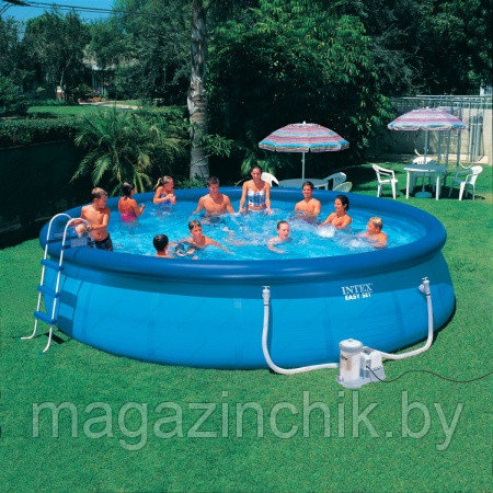 Intex 54920 (28176) Бассейн  Easy Set Pool 549х122 см (насос-фильтр, лестница, подстилка, тент)