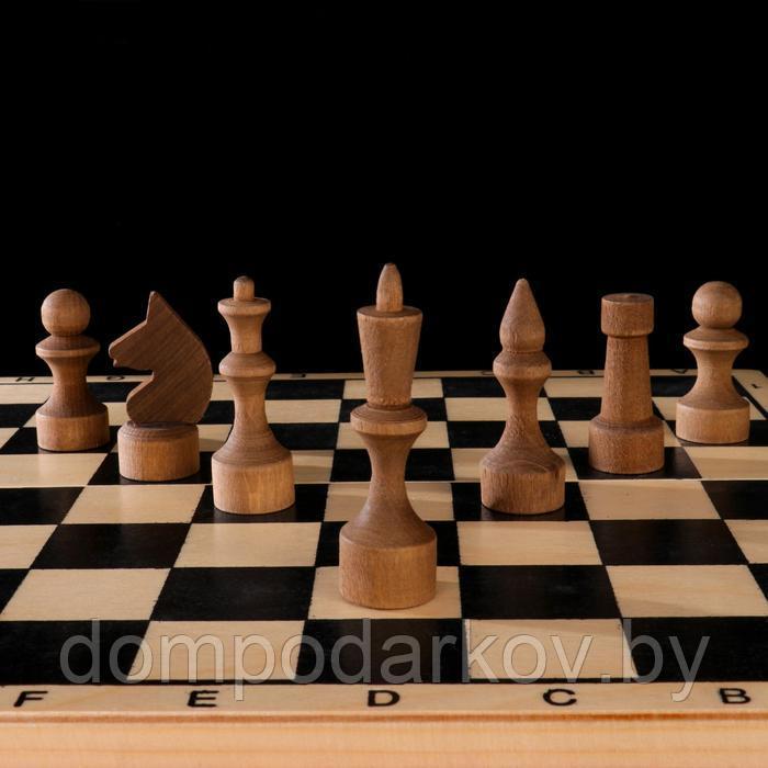 Шахматы "Основа" (доска дерево 29х29 см,фигуры дерево, король h=7.2 см, пешка h=4.5 см) микс - фото 6 - id-p143494058