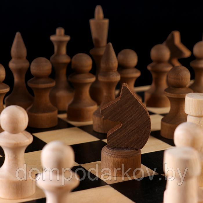 Шахматы "Основа" (доска дерево 29х29 см,фигуры дерево, король h=7.2 см, пешка h=4.5 см) микс - фото 7 - id-p143494058