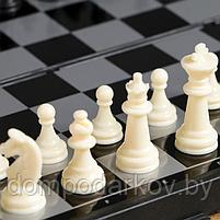 Настольная игра, набор 3в1 "Зук": нарды, шахматы, шашки, магнитная доска 24.5х24.5 см, фото 3