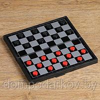 Настольная игра, набор 3в1 "Зук": нарды, шахматы, шашки, магнитная доска 24.5х24.5 см, фото 6