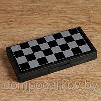 Настольная игра, набор 3в1 "Зук": нарды, шахматы, шашки, магнитная доска 24.5х24.5 см, фото 7