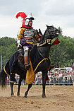 Конные бои рыцарей, фото 5